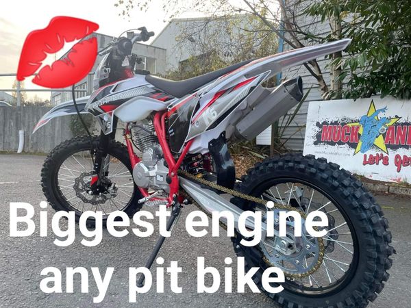MUCK+FUN Xtd 200 PIT bike (WARRANTY-DELIVERY) for sale in Wicklow for  €1,850 on DoneDeal
